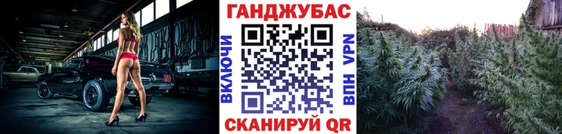 Конопля SATIVA & INDICA  Гай 